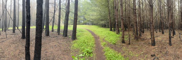 ChrisHulls Profile Banner