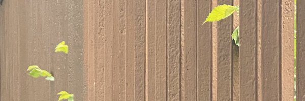 JesusEncinar Profile Banner