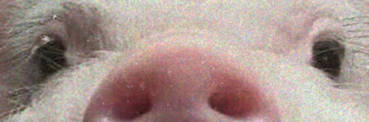 Jamiisjamm's profile banner image