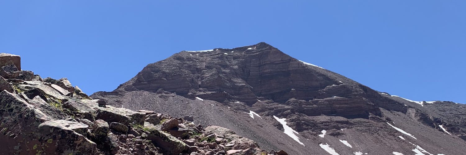 Napoleon The Fiddler banner