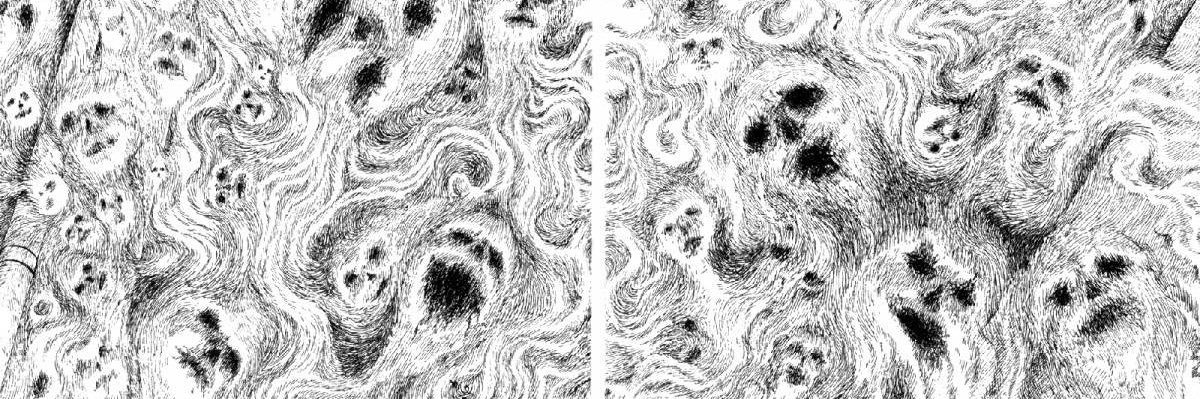 Knyfe 🔪 🏴󠁧󠁢󠁳󠁣󠁴󠁿 banner