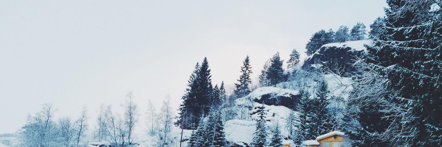 CelineIBieber's profile banner image