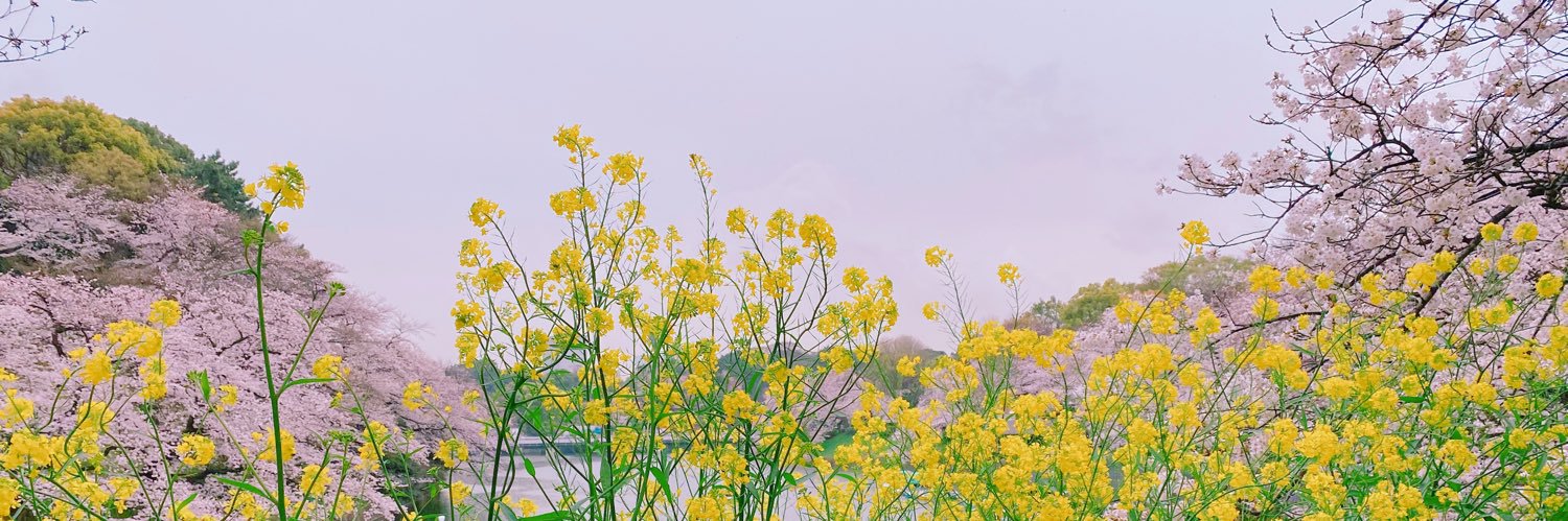 robin0x0's profile banner image
