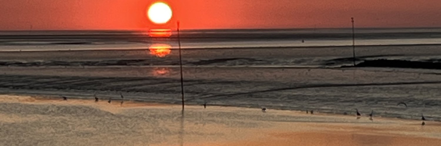 Lia@chaos.social banner
