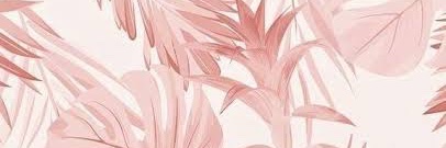 𝘾𝙚𝙡𝙚𝙨𝙩𝙚_𝙋𝙡𝙖𝙮𝙨 (@aurelie_san.jpg) on IG banner