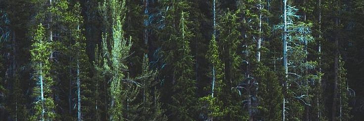 bustychloee's profile banner image