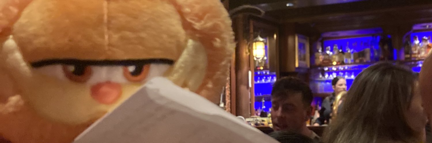 sophia “special little guy” banner