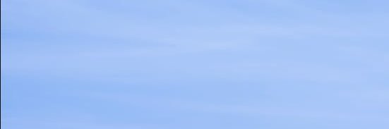 indigo forever updates ! banner