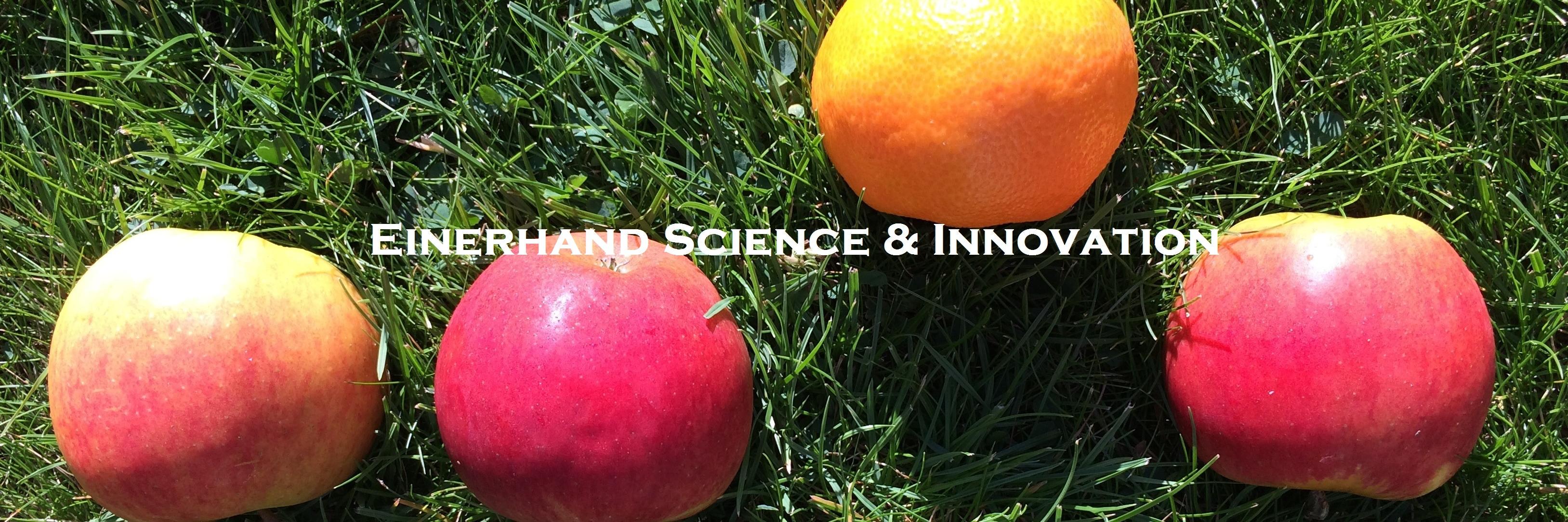 SandraEinerhand's profile banner image