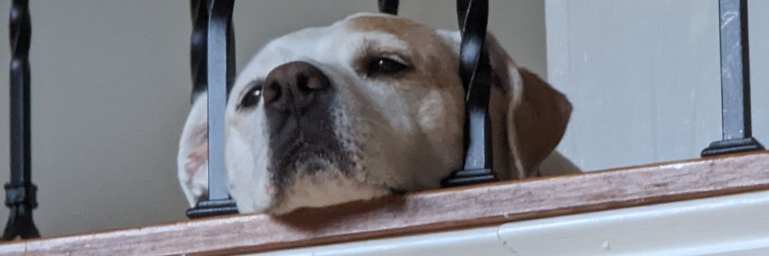 Bubba banner