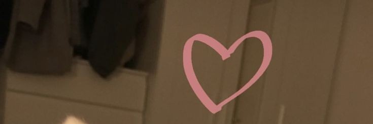 b bird 🕊️ banner