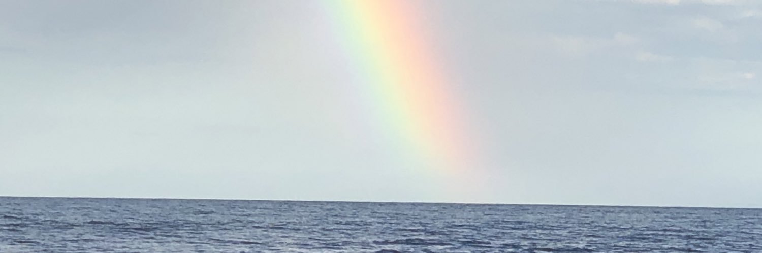 emilio_rodrig's profile banner image