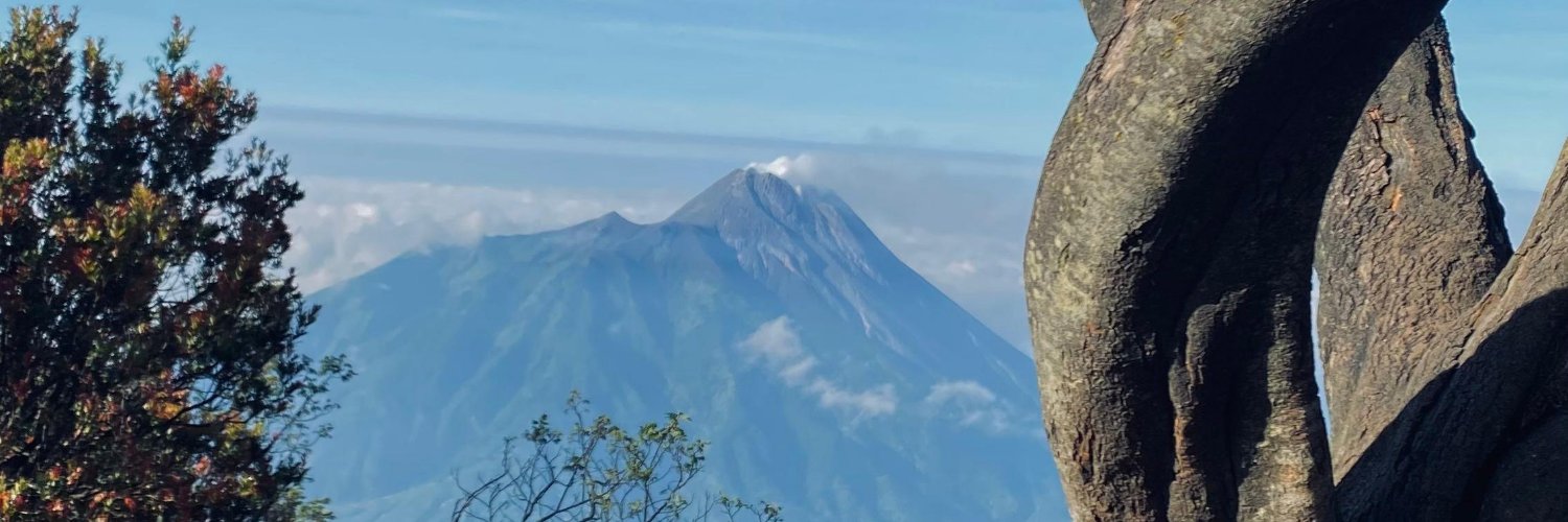 alamkudaliar's profile banner image