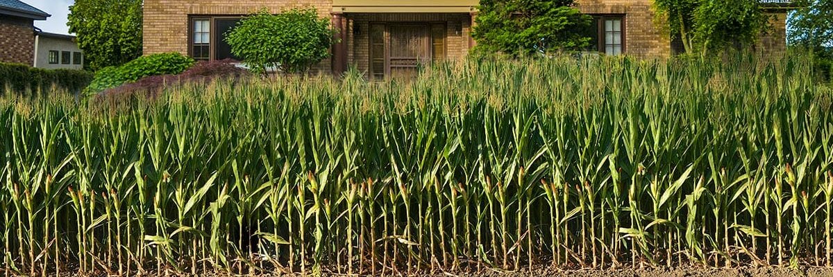 Generic Working Class Citizen banner