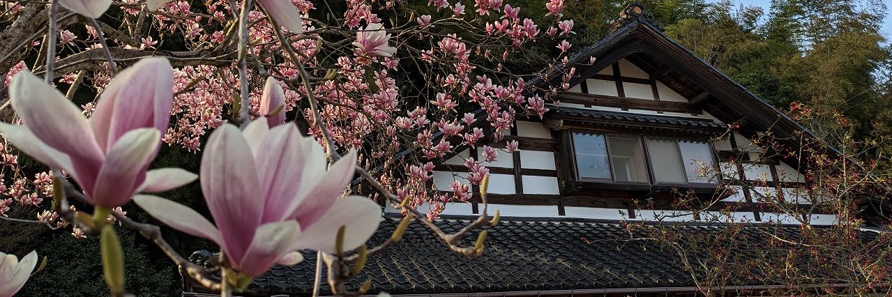 studio_omusubi's profile banner image