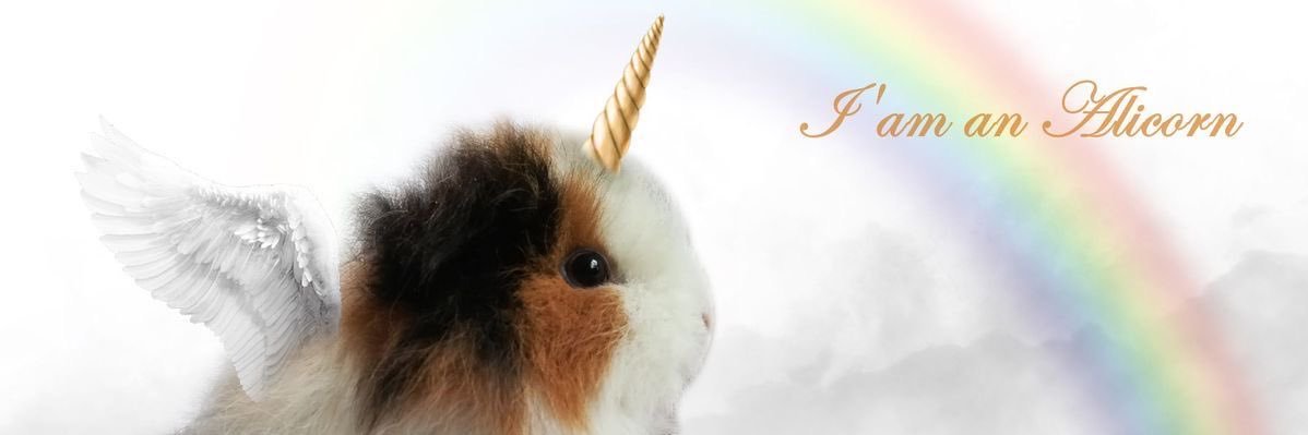 angel 🛸🛰️ banner