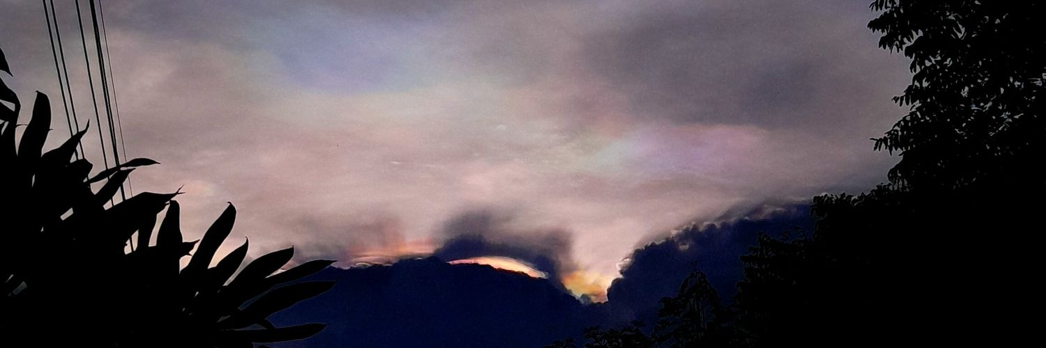 rosenreneszel's profile banner image