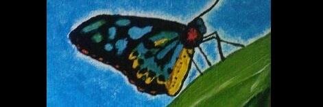WattleFF's profile banner image