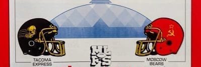 Naylor Moon banner