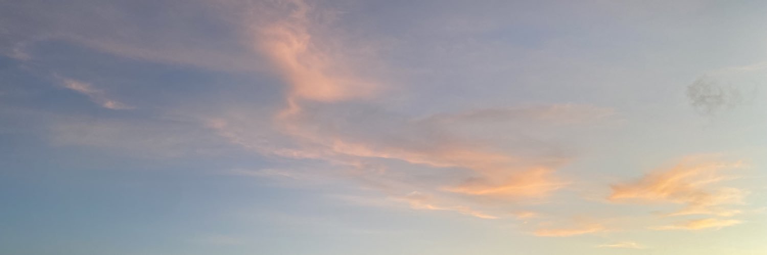 BJ. banner
