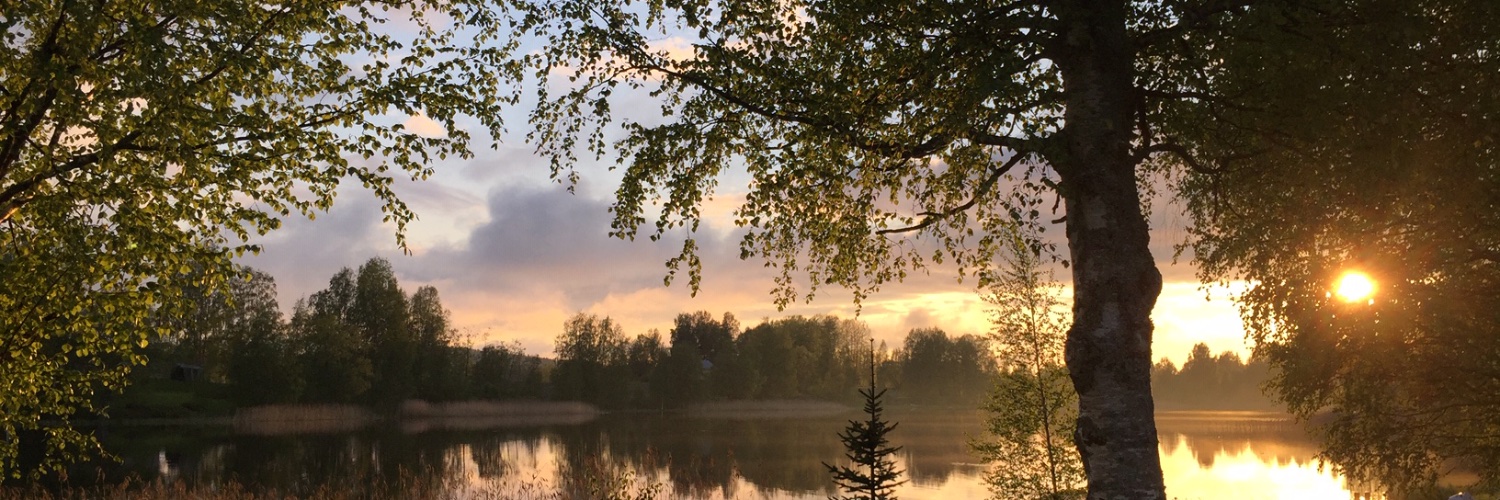 Juho Vepsäläinen banner