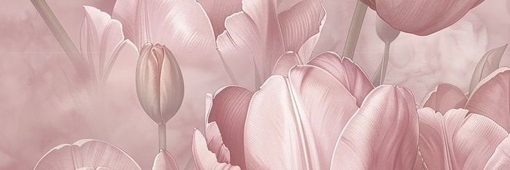 𝓩𝓮𝓽𝓱𝓪 ☘︎ banner