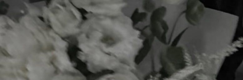 ̳ᓀ ·̭ ᓂ ̳ banner