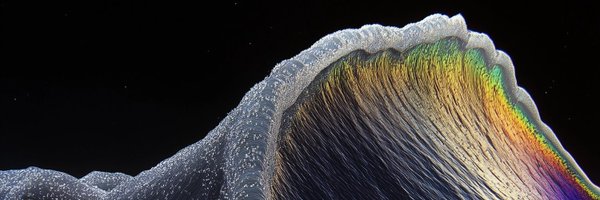 petepetrash Profile Banner