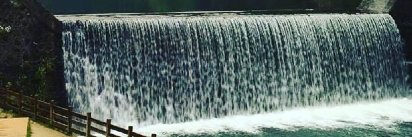 afnan1414's profile banner image