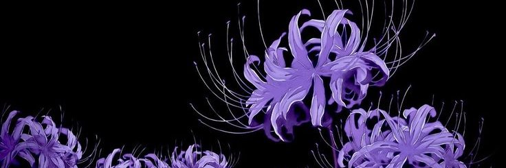 BonziPie's profile banner image