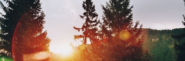 max banner