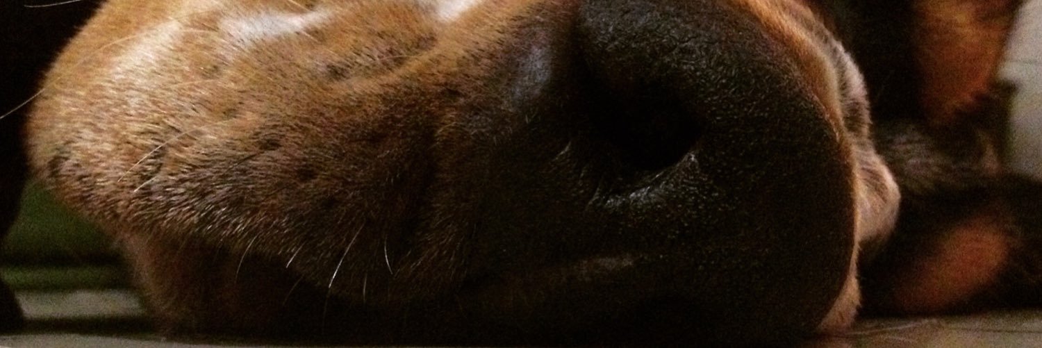 NessSwannick's profile banner image