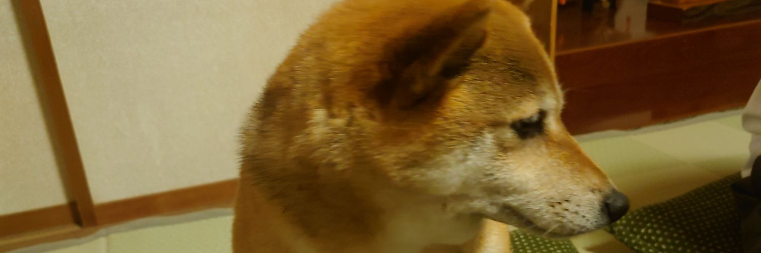 evenbomb's profile banner image