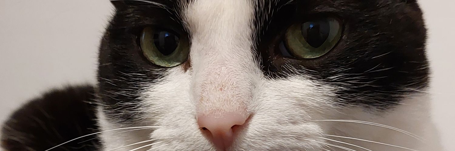 anabfrossard's profile banner image