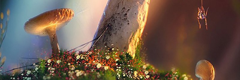 ShariceDel71889's profile banner image