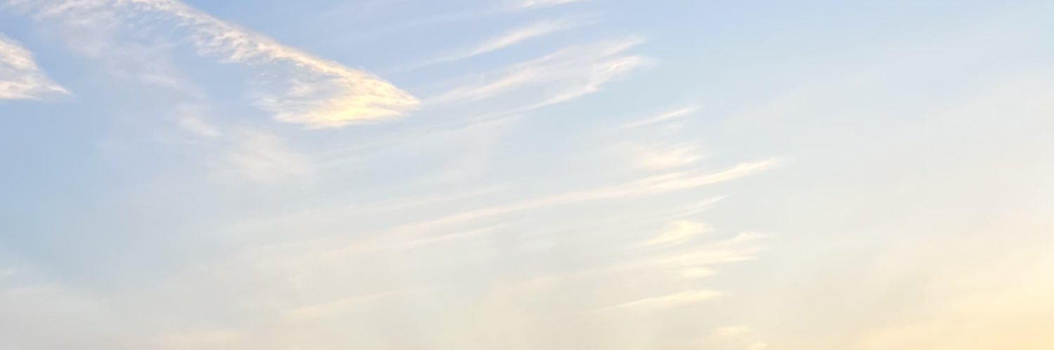 ヒヨン banner
