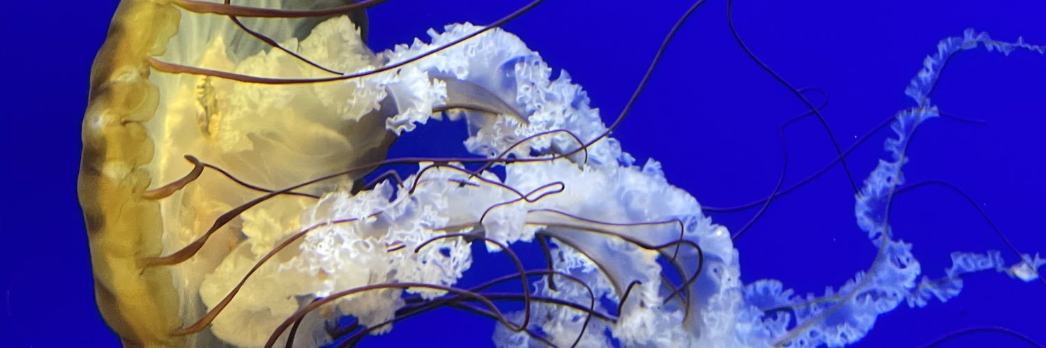 Marie Collins banner