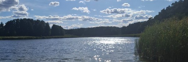 DariuszE22006 Profile Banner