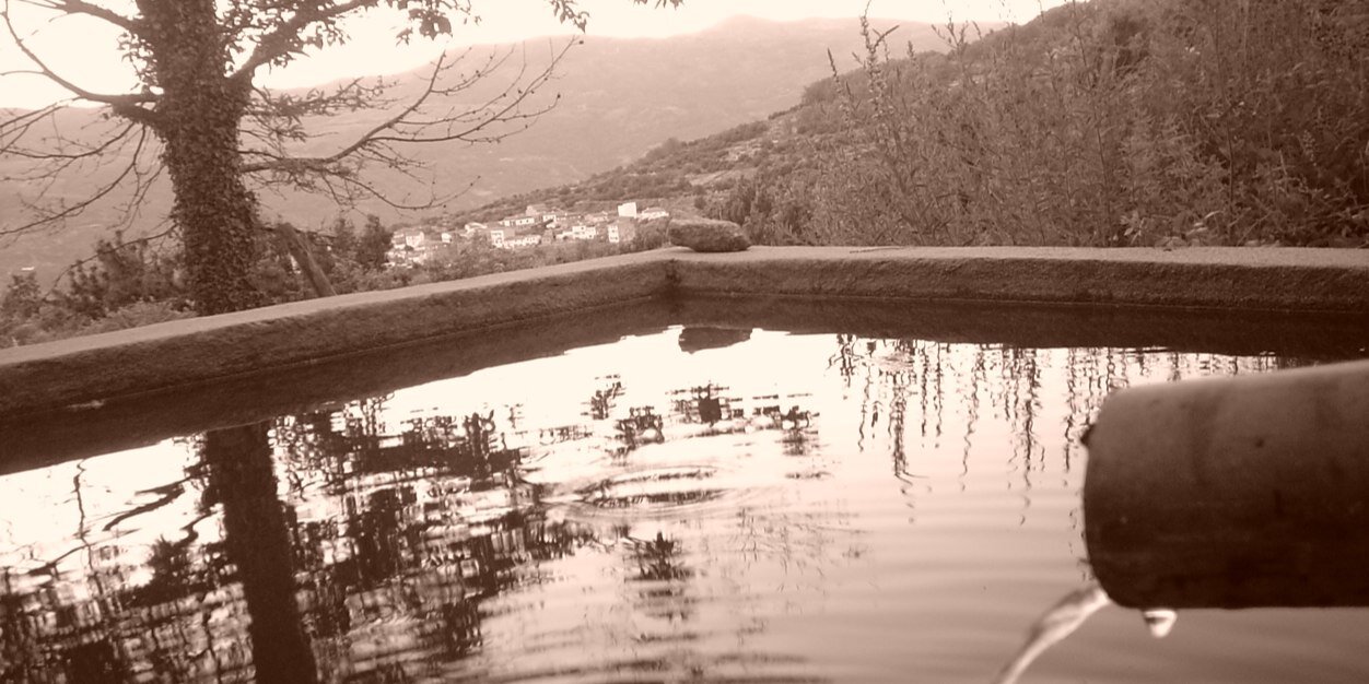 Alejandro Garcia P. banner