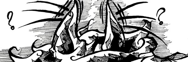 BDSomewhat Profile Banner