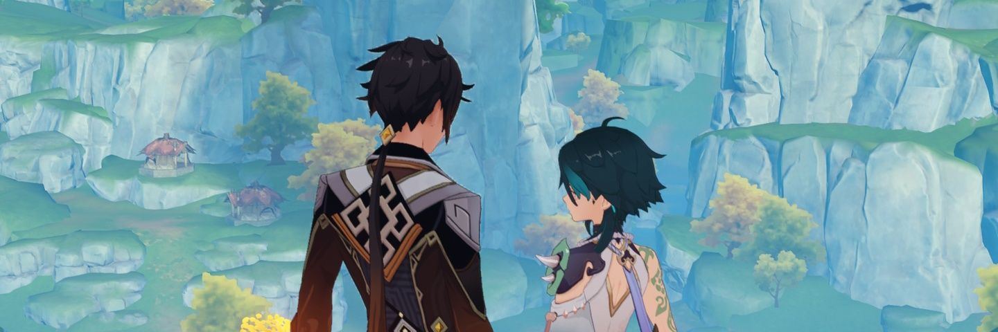 Frog banner