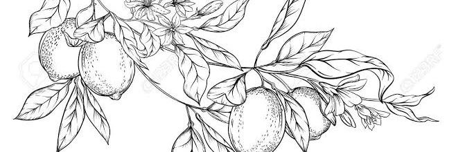 itsnonobody's profile banner image