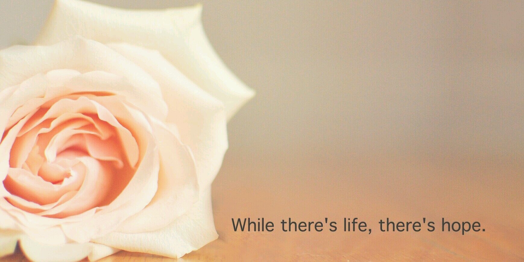Amanda Thea banner