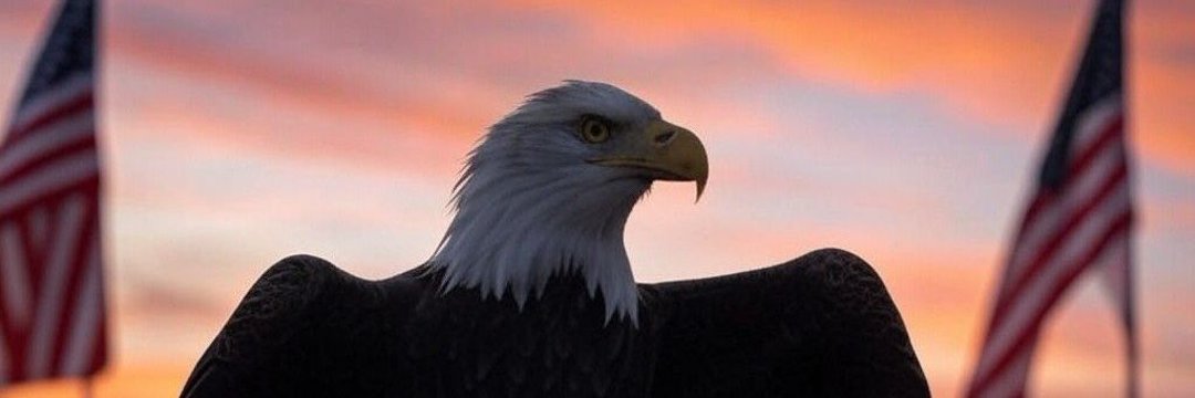 Aaron_b29's profile banner image