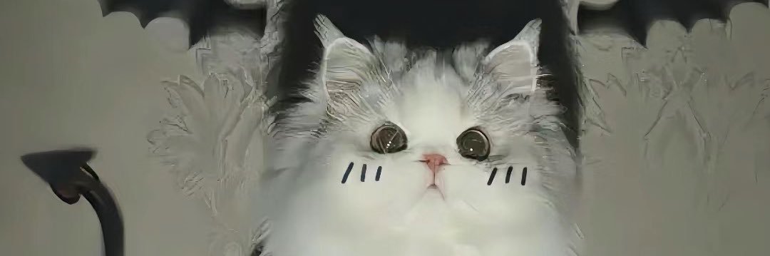 劳拉西汀 banner