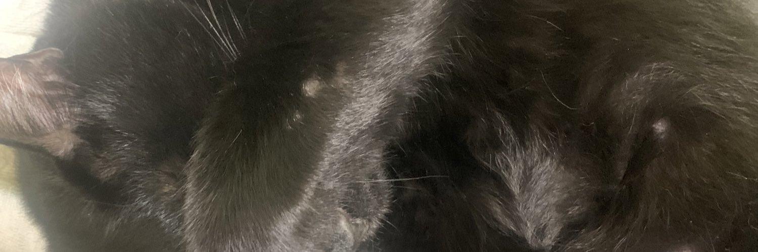 Yuu_ppppeww's profile banner image