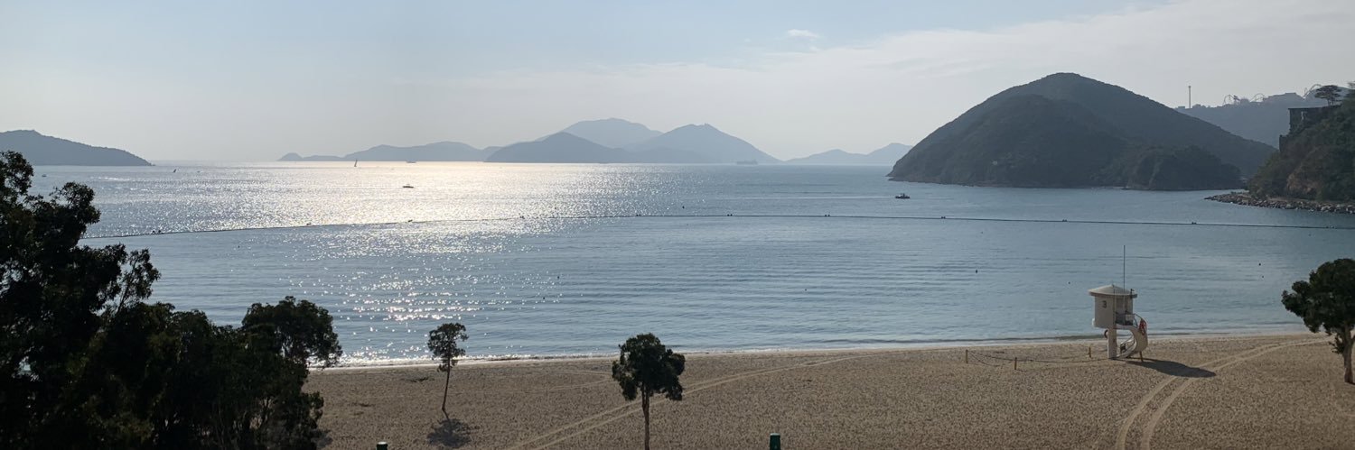 Thewillydicks banner