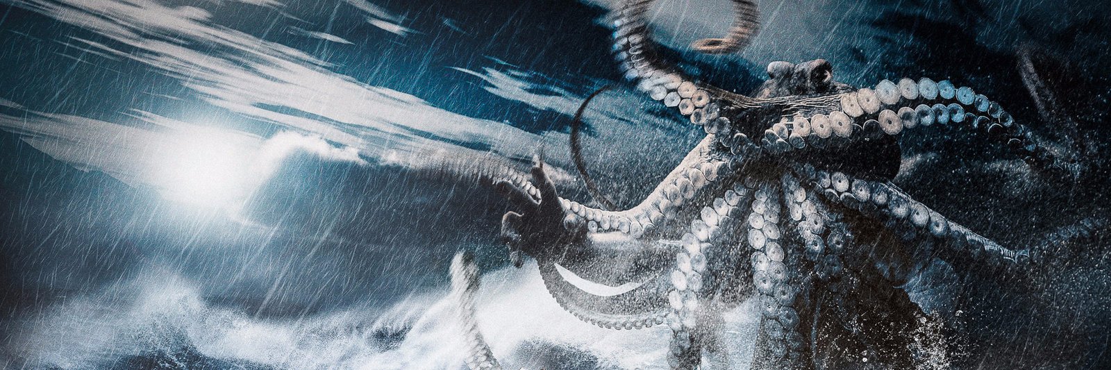 4WOWS's profile banner image