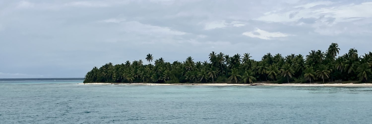 natisimon's profile banner image