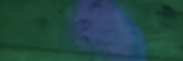 ERNESTONODAL Profile Banner